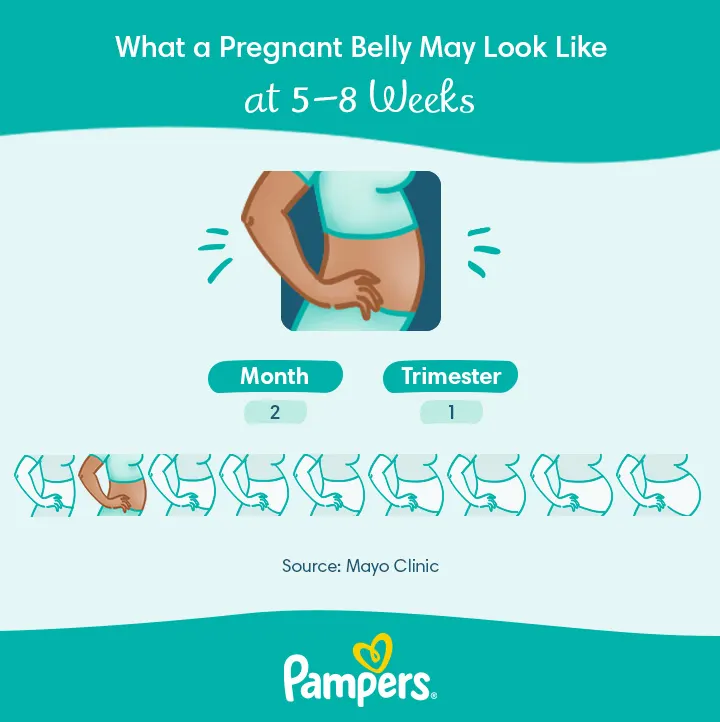 8 weeks pregnant belly