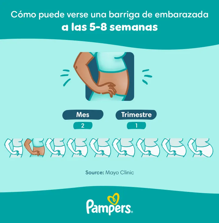 panza de 8 semanas de embarazo panza de 8 semanas de embarazo