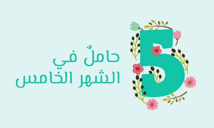 الشهر الخامس من الحمل