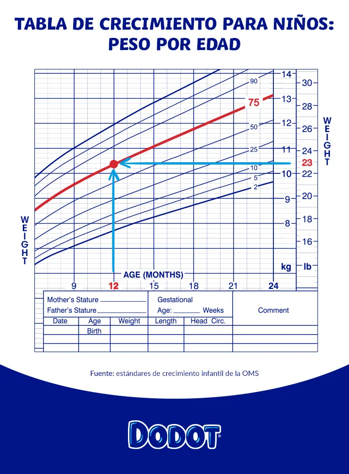 Tabla de crecimiento de longitud-edad para niños Tabla de crecimiento de longitud-edad para niños