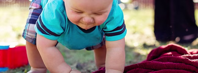 development-and-key-milestonescrawling-101-development-and-key-milestonescrawling-primer