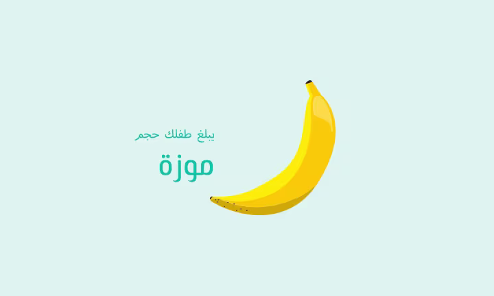 يبلغ طفلك حجم موزة