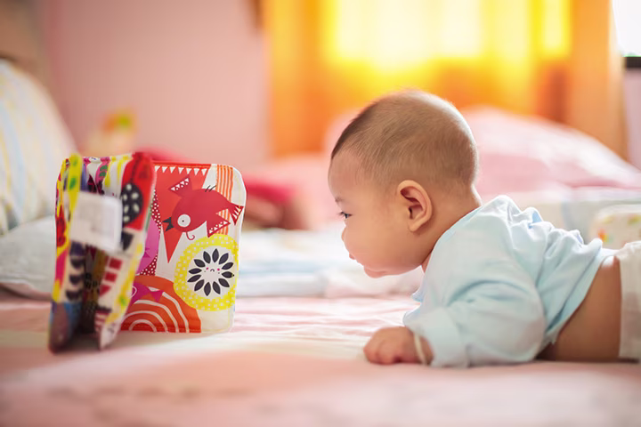 ずりばいはいつから？