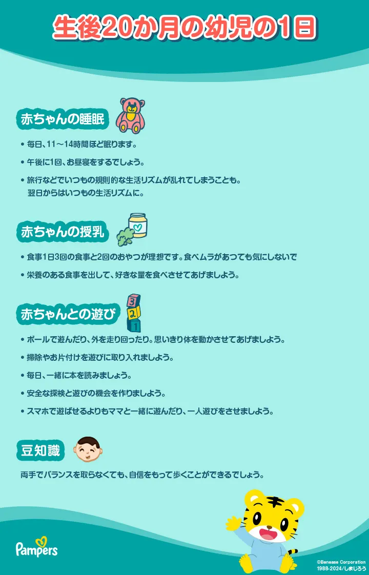 生後20ヶ月の幼児の１日のスケジュール