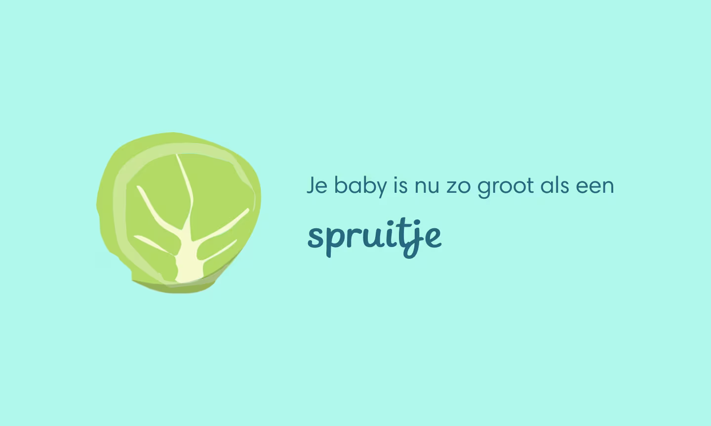 Je baby is nu zo groot als een spruitje