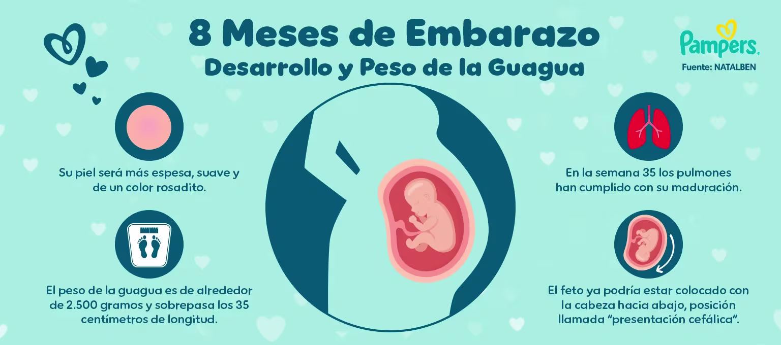 8 meses de embarazo