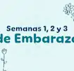 Semanas 1, 2 y 3 de embarazo