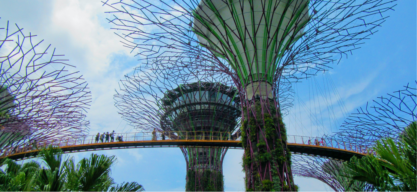 Coverage/Country - Singapore - Hero Header Image