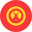 KGS Kyrgyzstani Som