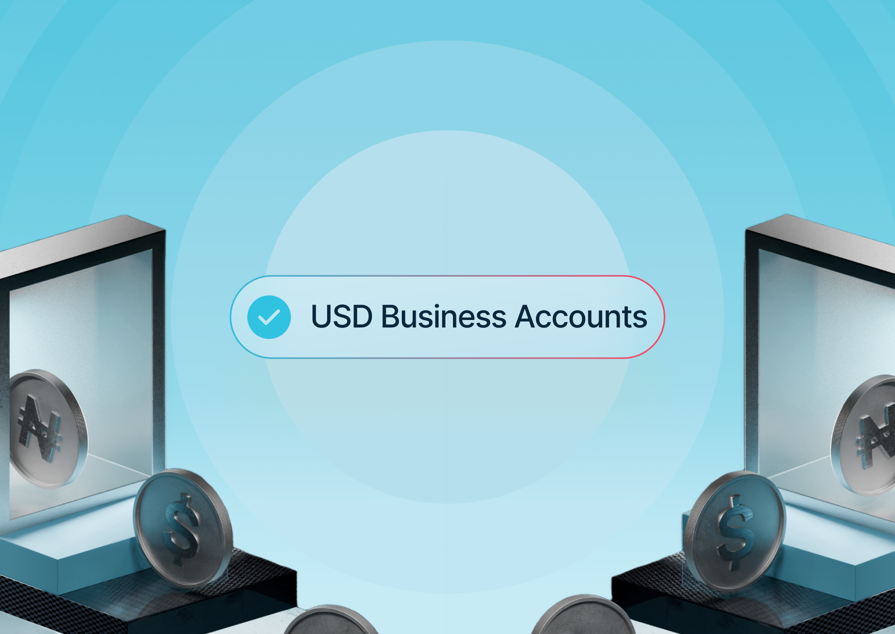 USD Business accounts