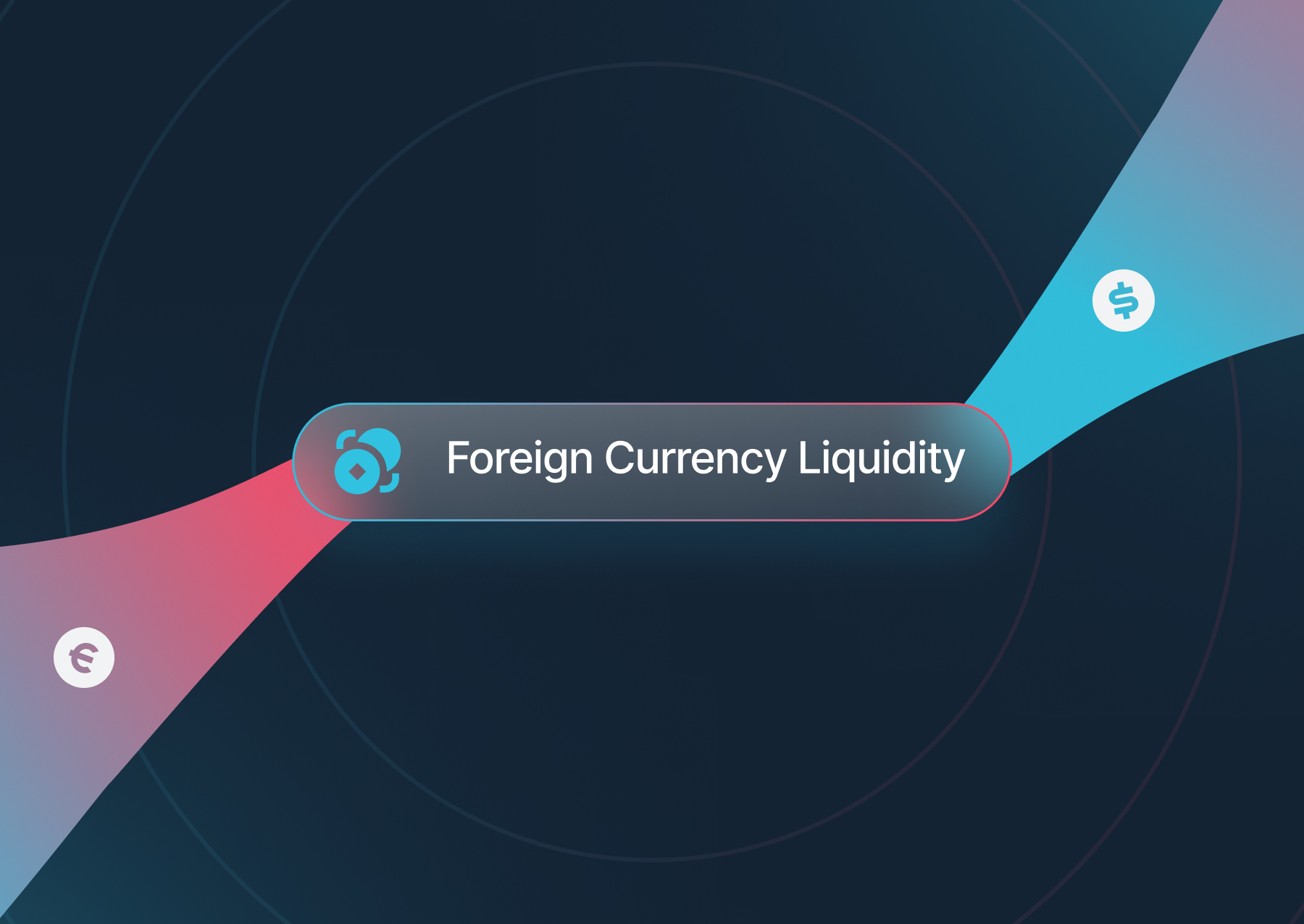 Foreign Currency Liquidity