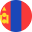 MNT Mongolian Tögrög