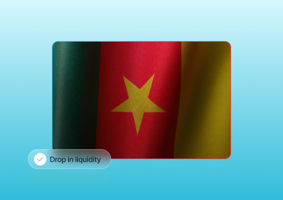 Cameroon Macro Update