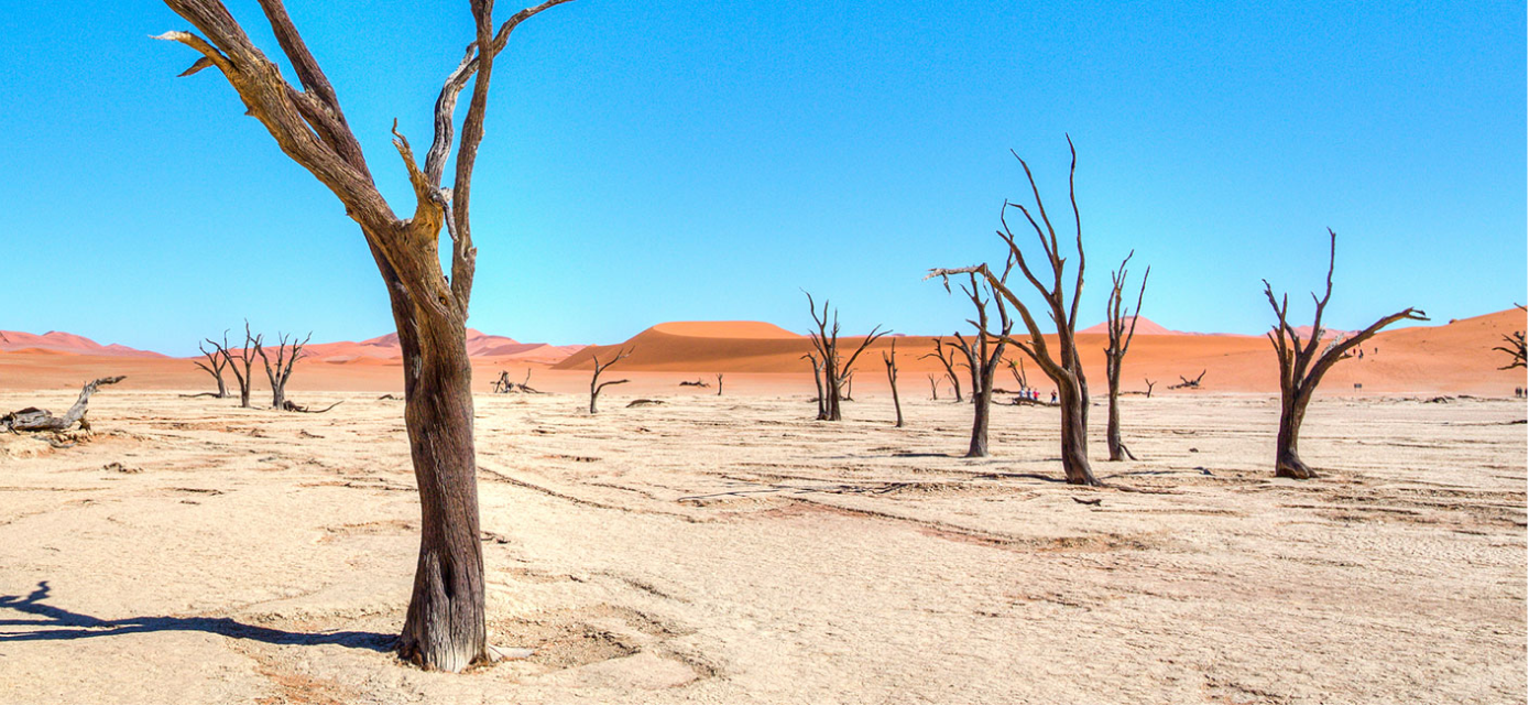 Country/Coverage - Namibia - Hero Header Image