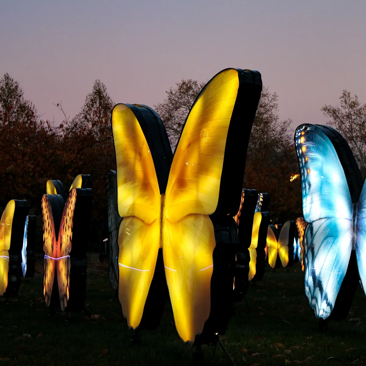 Experiential Marketing for Nationwide Children's Hospital | Goodbeast