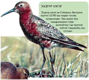 Амь өрссөн аялагчид — зураг 5