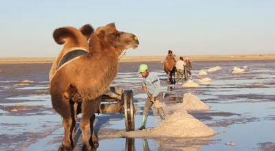 Сангийн далай нуур — зураг 2