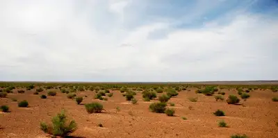 Галбын Говь — зураг 1