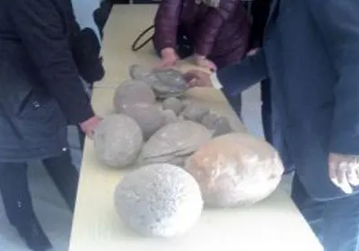 Говиос үлэг гүрвэлийн чулуужсан 15 ширхэг өндөг олджээ — зураг 1