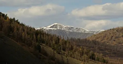 Хан Хэнтий — зураг 1