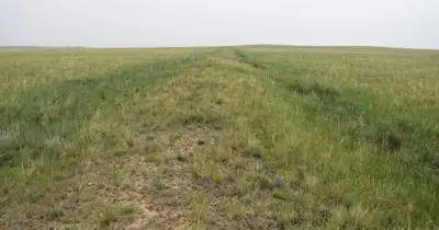 Чингисийн хэрмэн зам — зураг 1