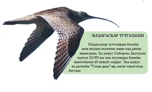 Амь өрссөн аялагчид — зураг 1