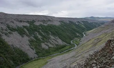 Тамчийн хавцал — зураг 1