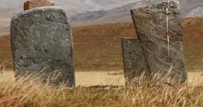 Уушигийн өвөрийн буган хөшөө — зураг 1