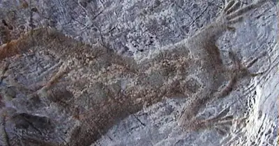 Цагаанбулагийн хадны зураг