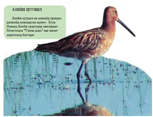 Амь өрссөн аялагчид — зураг 2