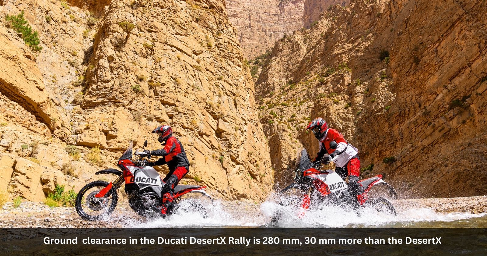 Ducati DesertX Rally Launched At ₹23.71 Lakh