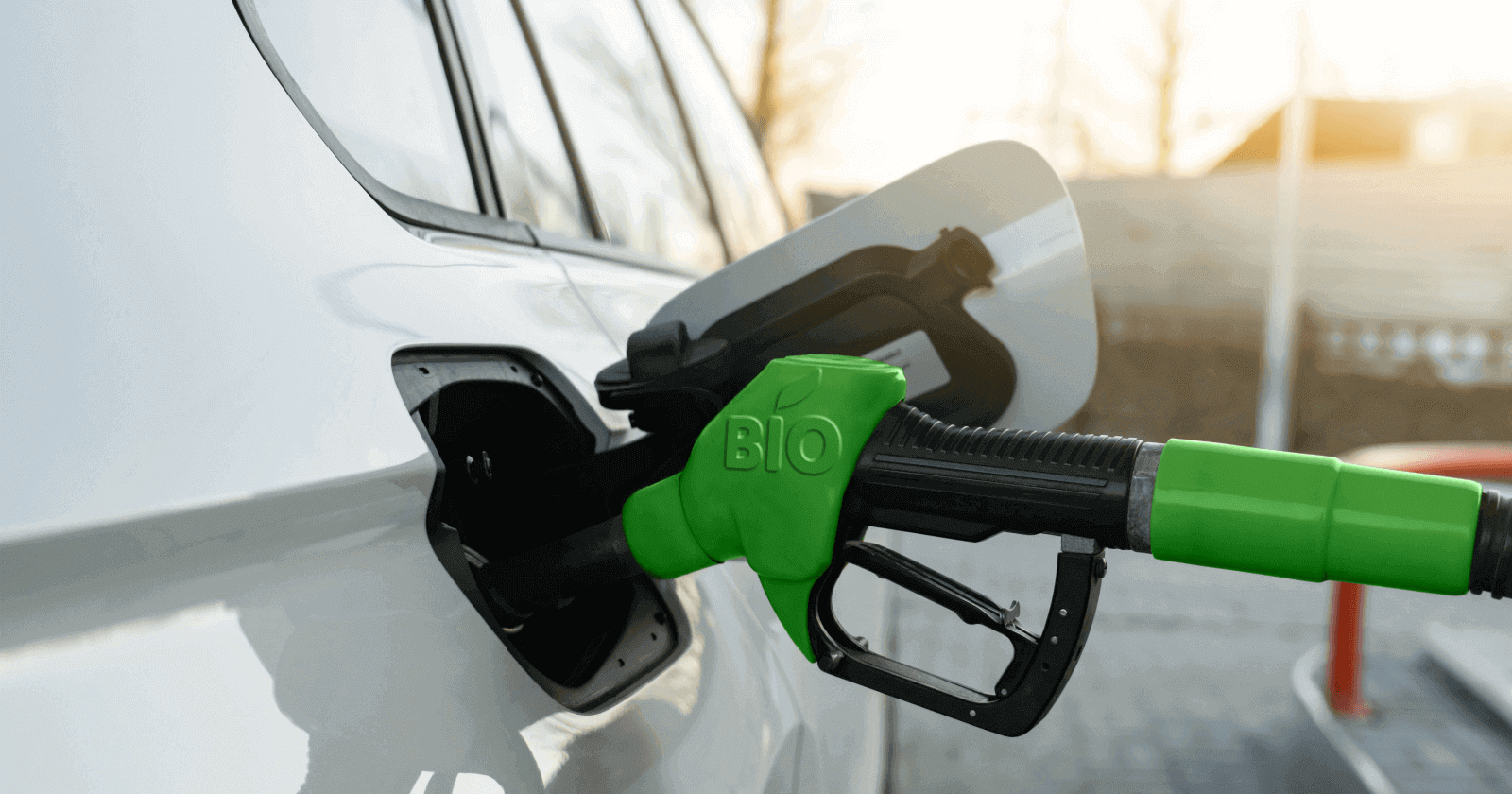 What is Biofuel? How Does it Work in a Car?
