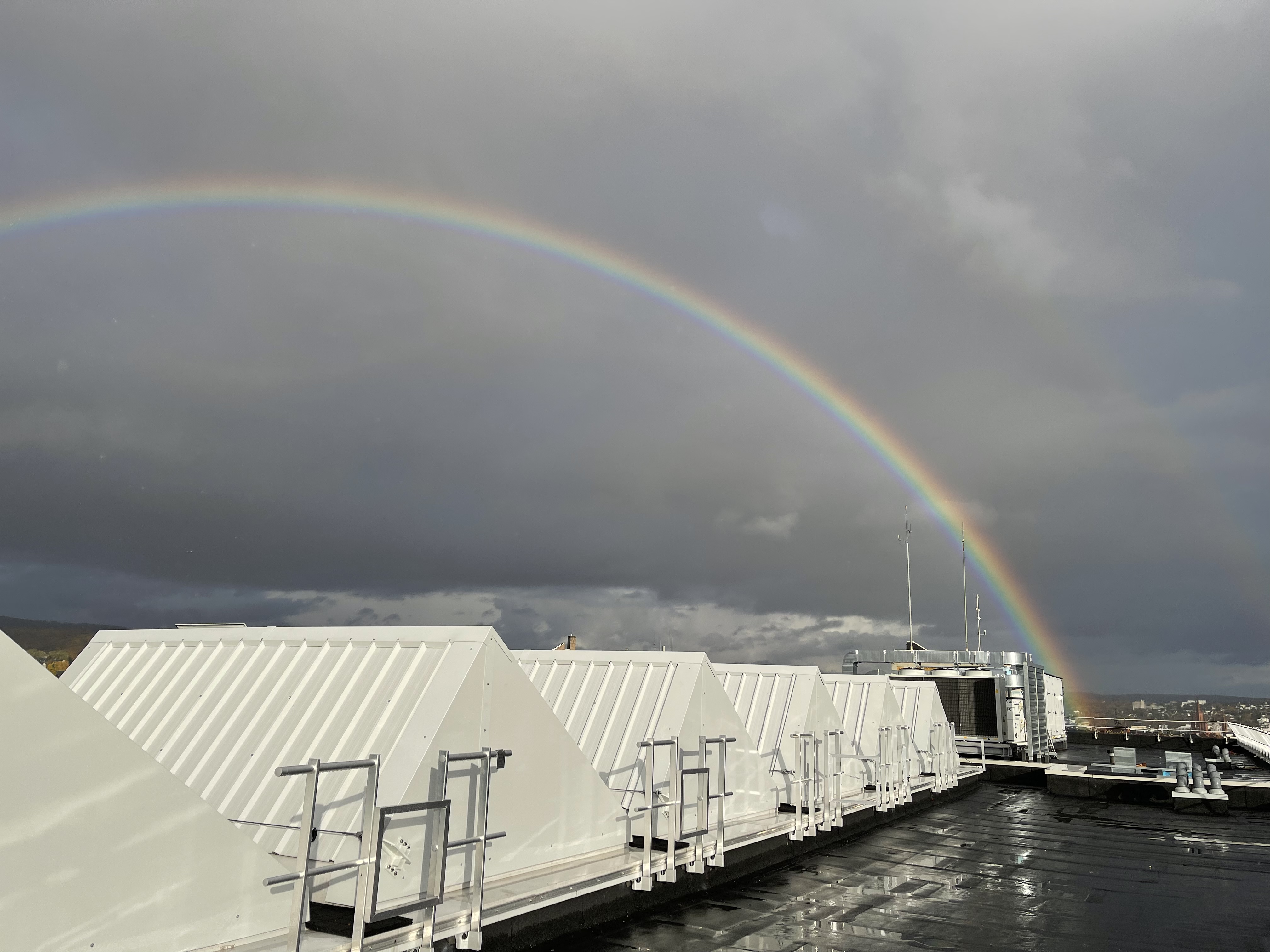 Hochschule Rhein-Main, Glasdach