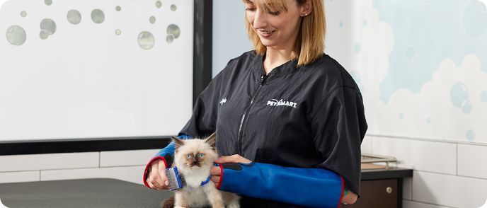 Dog Grooming Cat Grooming Services PetSmart