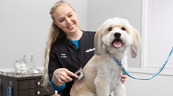 Dog Grooming Cat Grooming Services PetSmart