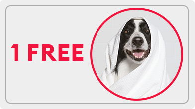 USP-Buy2-Get1-Free-16x9.png