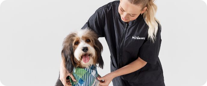 Petsmart groomer hotsell