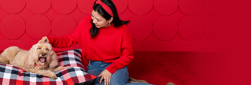 Dog Cat Boarding Overnight Pet Sitting At Petshotel Petsmart