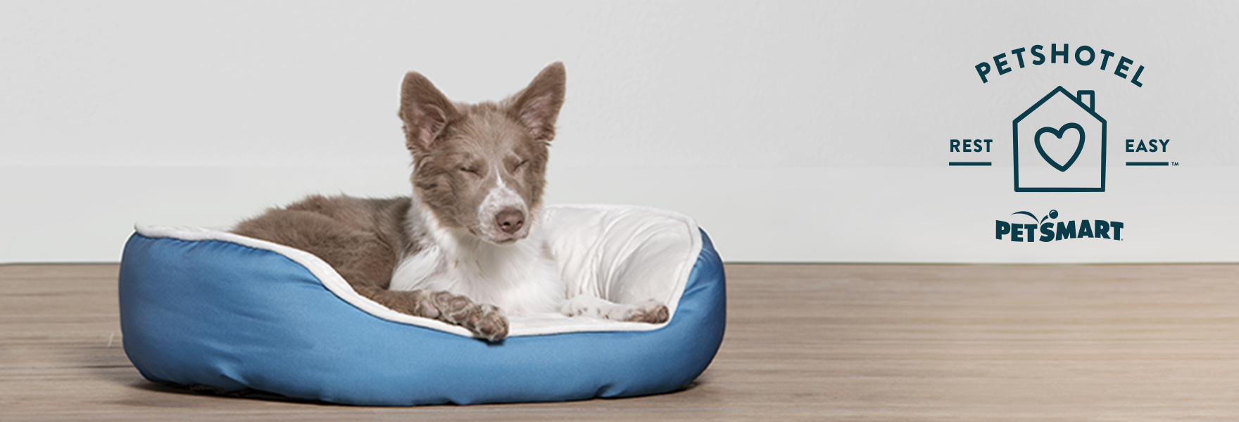 Petsmart Services Dog Laying In Bed