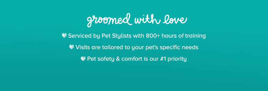 pawdicure plus petsmart