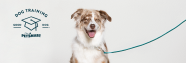 Dog Training Puppy And Adult Dog Training Classes PetSmart