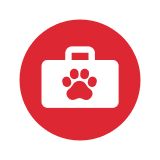 Veterinary Care