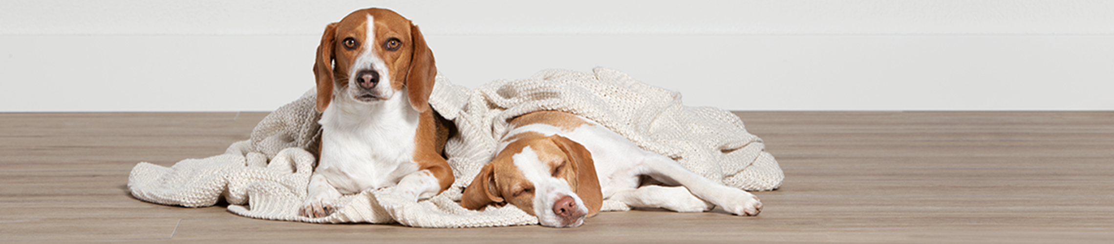 petsmart senior discount tuesday