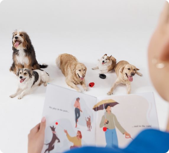 Petsmart doggie day care best sale