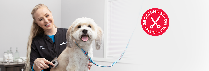 Affordable Petsmart Grooming Prices 2024: Updated Cost Guide for Dogs