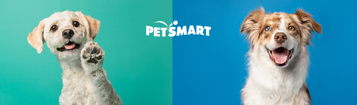 petsmart grooming services