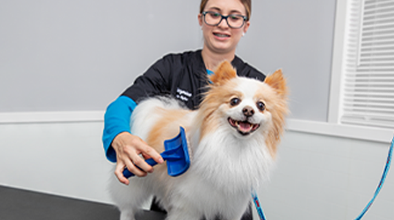 Petsmart furminator outlet grooming