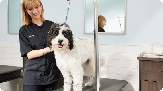 Petco grooming outlet service