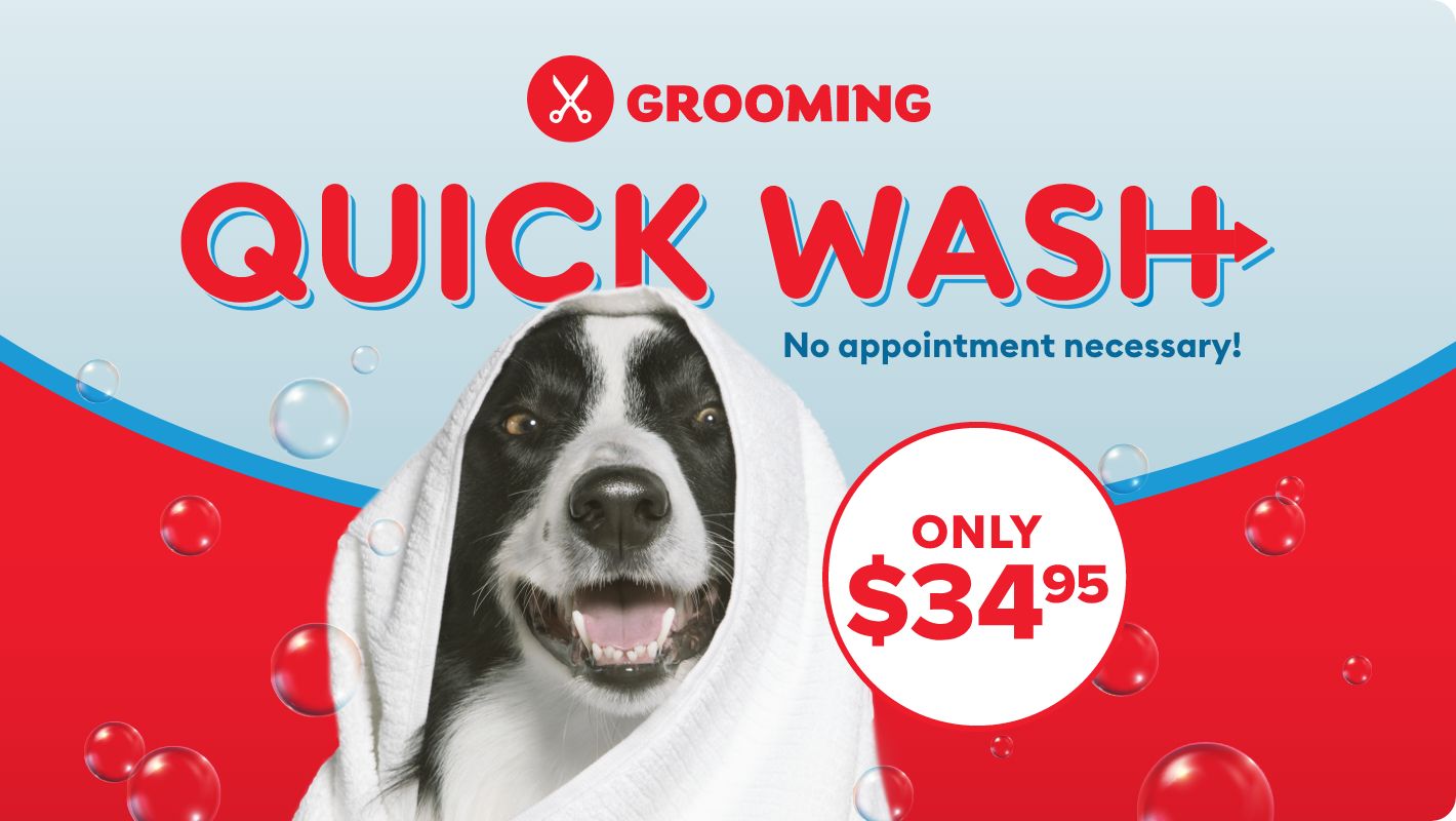 Places to wash your dog hot sale near me