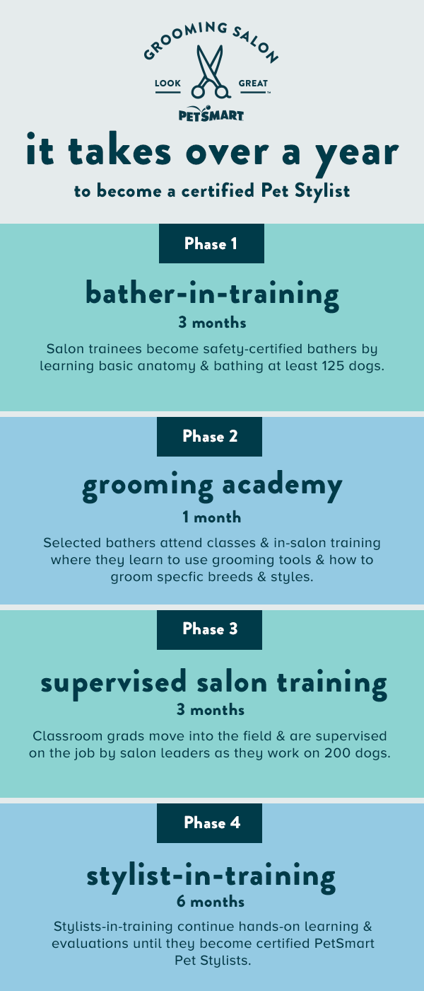 Groomers Journey